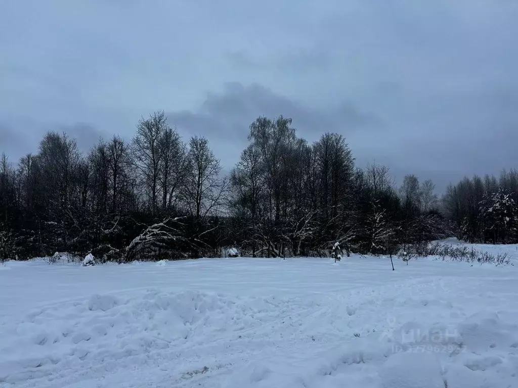 Участок в Московская область, Ступино городской округ, с. Хатунь  (8.1 ... - Фото 1