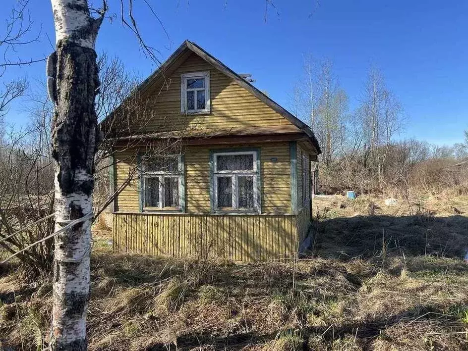 Участок в Новгородская область, Новгородский район, Панковское ... - Фото 1