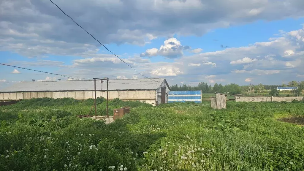 Участок в Омская область, Омский район, Дружинское с/пос, с. Красная ... - Фото 1