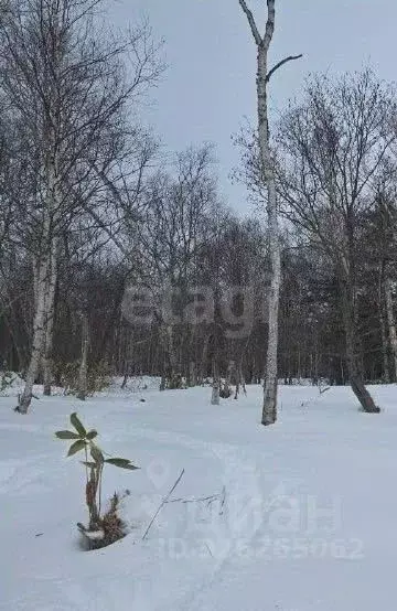 Участок в Сахалинская область, Анивский городской округ, с. ... - Фото 2
