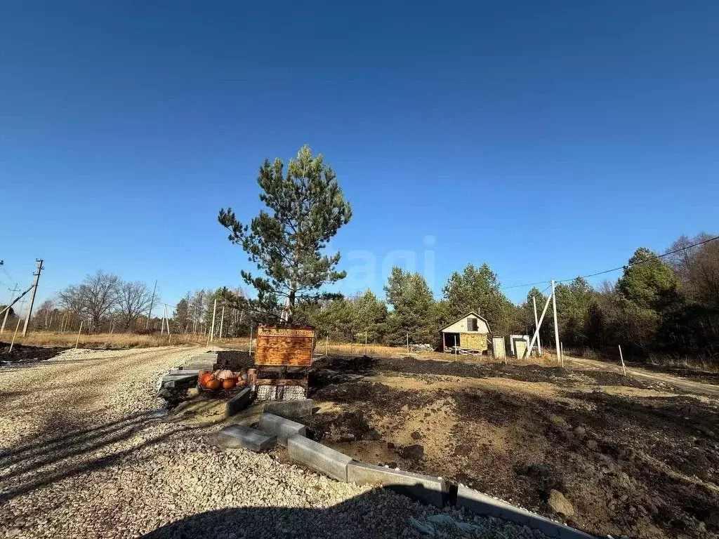 Участок в Пензенская область, Бессоновский район, пос. Подлесный, ... - Фото 2