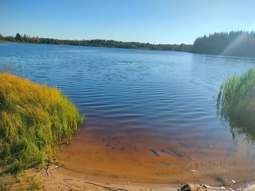 Дом в Псковская область, Пустошкинский муниципальный округ, д. ... - Фото 1
