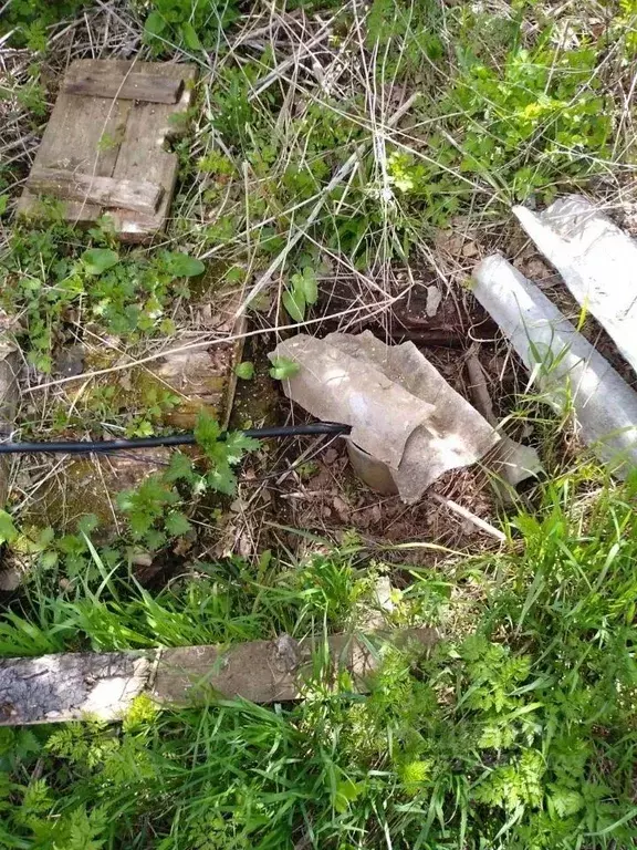 Участок в Пермский край, Карагайский муниципальный округ, с. ... - Фото 2