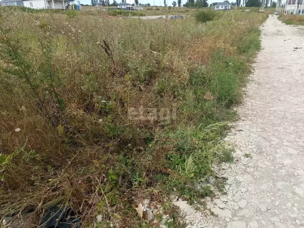 Участок в Краснодарский край, Новороссийск городской округ, ... - Фото 2