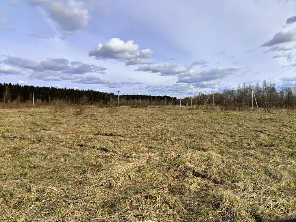 Участок в Ленинградская область, Тосно г. Тосненский район, Тосненское ... - Фото 1