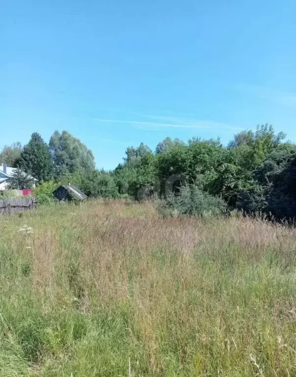 Дом в Нижегородская область, Выкса городской округ, Шиморское рп ул. ... - Фото 1