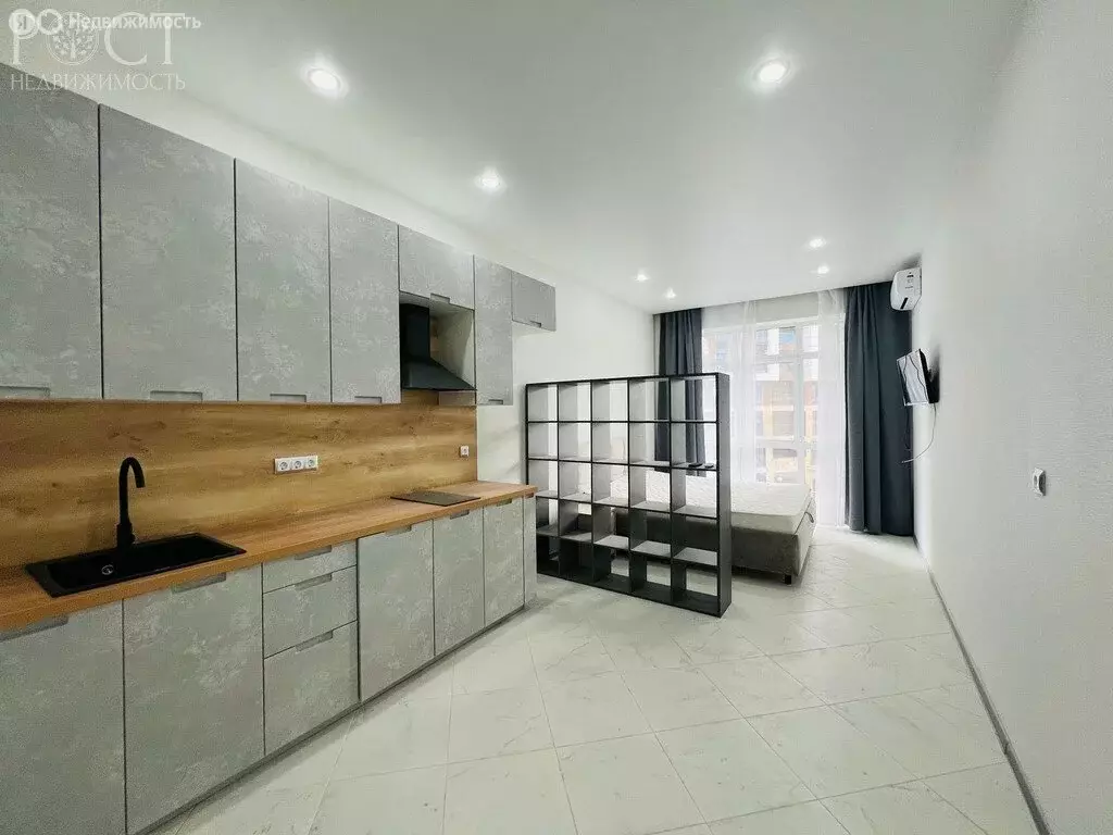 Квартира-студия: посёлок городского типа Дагомыс, Батумское шоссе, 28А ... - Фото 2