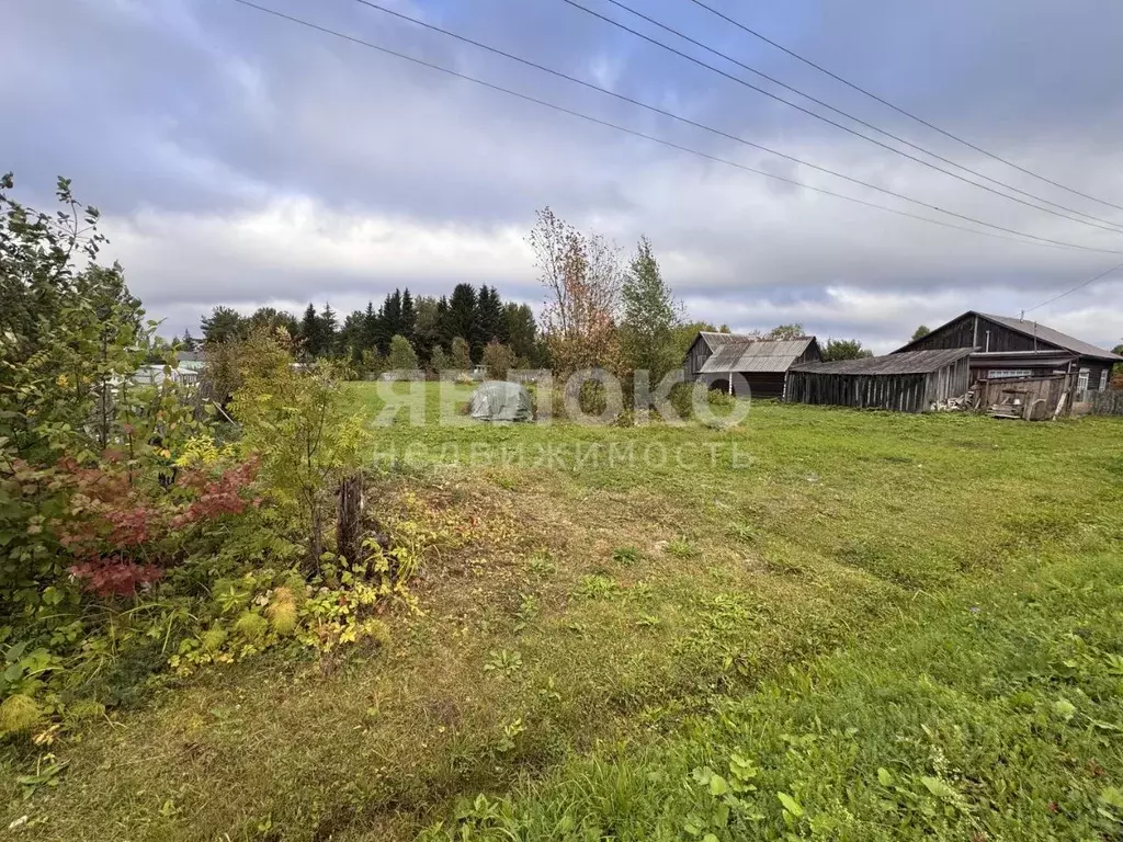 Участок в Пермский край, Березники муниципальный округ, д. Турлавы ул. ... - Фото 1