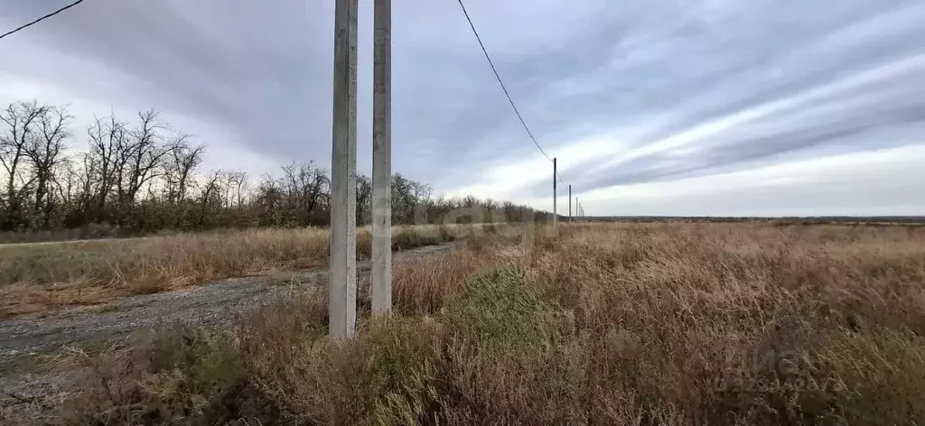 Участок в Ростовская область, Аксайский район, Щепкинское с/пос, пос. ... - Фото 2
