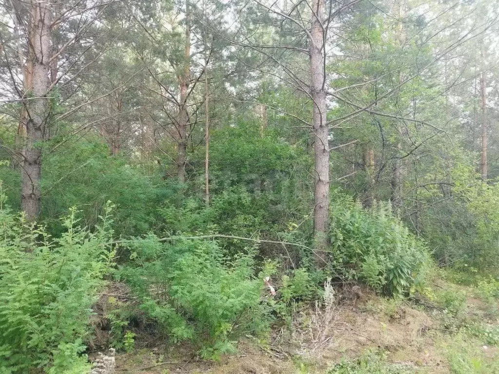 Участок в Свердловская область, Талица  (10.0 сот.) - Фото 0