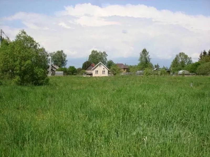 Участок в Московская область, Волоколамский муниципальный округ, д. ... - Фото 1