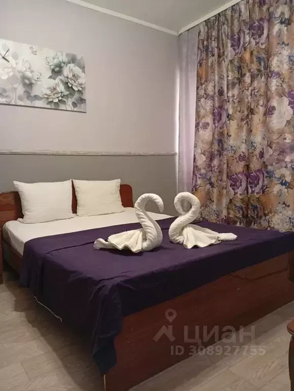 Комната Краснодарский край, Сочи ул. Просвещения, 87М - Фото 0