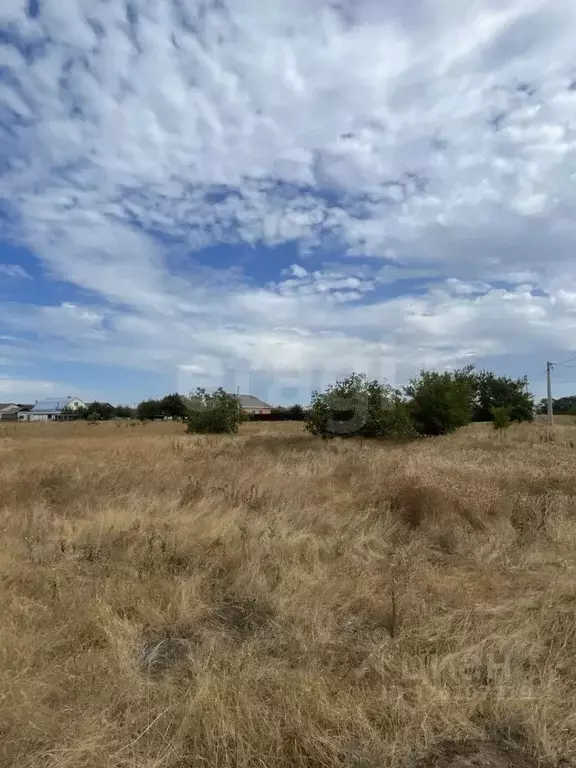 Участок в Краснодарский край, Ейский район, с. Кухаривка Солнечная ул. ... - Фото 2