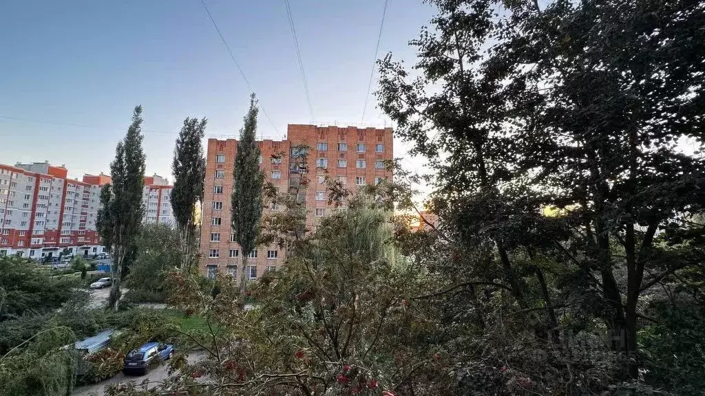 Комната Калужская область, Калуга ул. Генерала Попова, 7 (12.8 м) - Фото 1