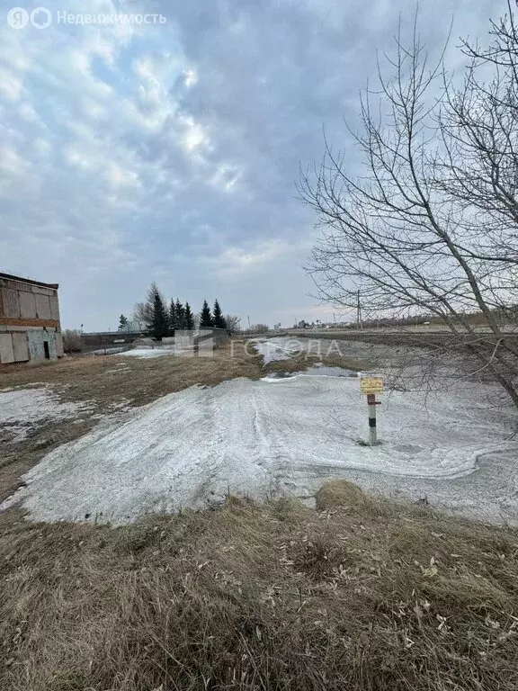 Участок в Коченёво, улица Тимирязева, 16 (28 м) - Фото 2