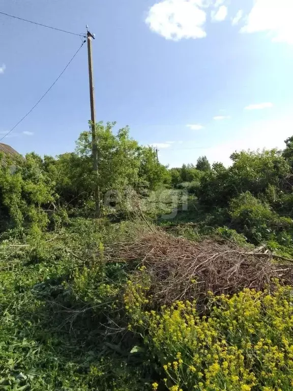 Участок в Ульяновская область, Ульяновский район, Ишеевское городское ... - Фото 0