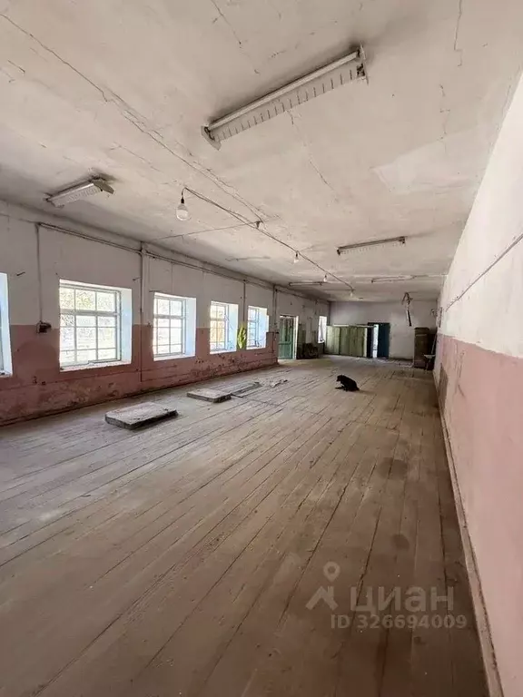 Помещение свободного назначения в Краснодарский край, Анапа ... - Фото 1