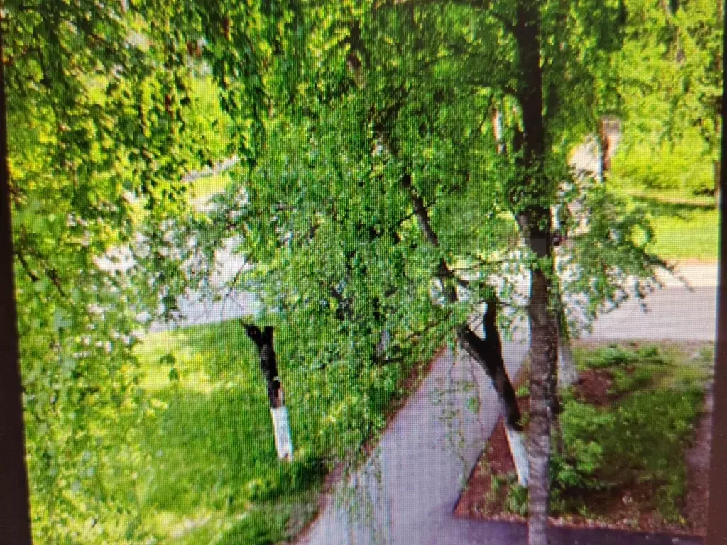 3-к. квартира, 66 м, 3/4 эт. - Фото 1