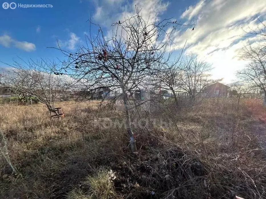 Участок в Рамонский район, Русскогвоздёвское сельское поселение, ПСК ... - Фото 1