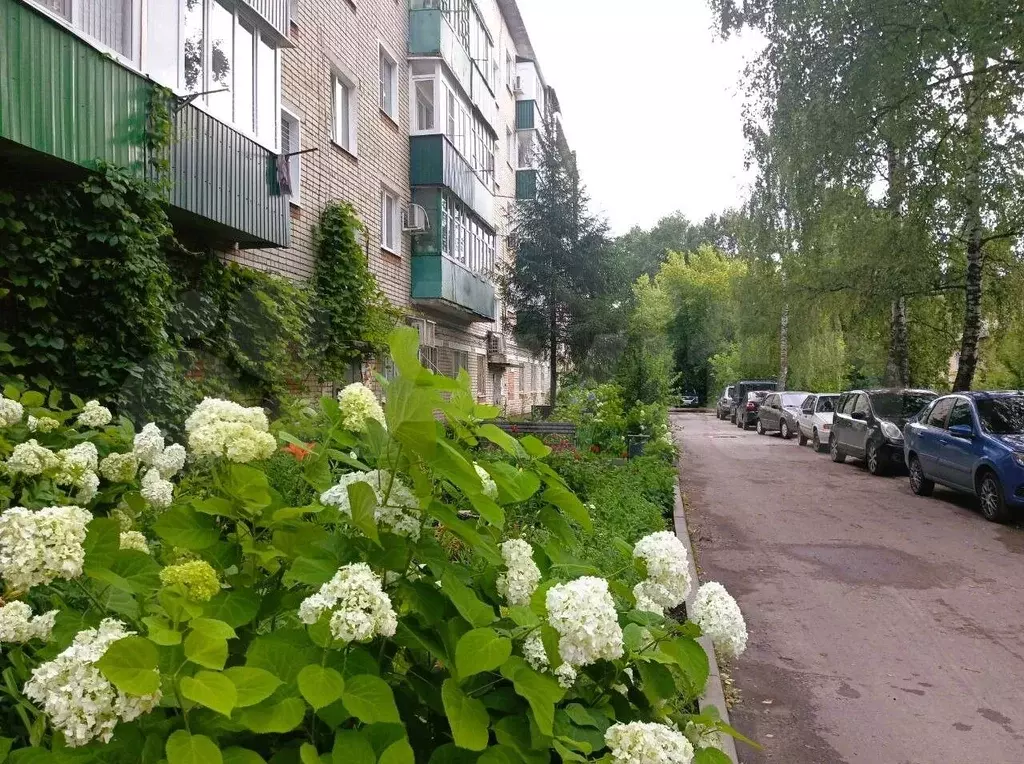 1-к. квартира, 30,2 м, 2/5 эт. - Фото 0