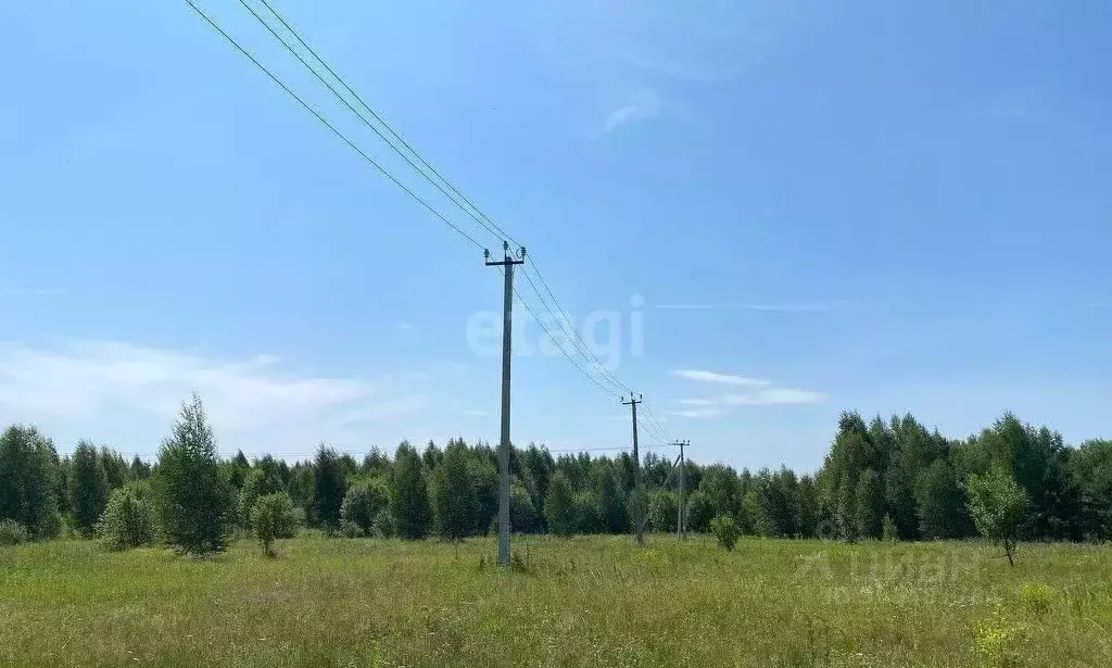 Участок в Свердловская область, Нижний Тагил ул. 2-я Звездная (10.0 ... - Фото 1