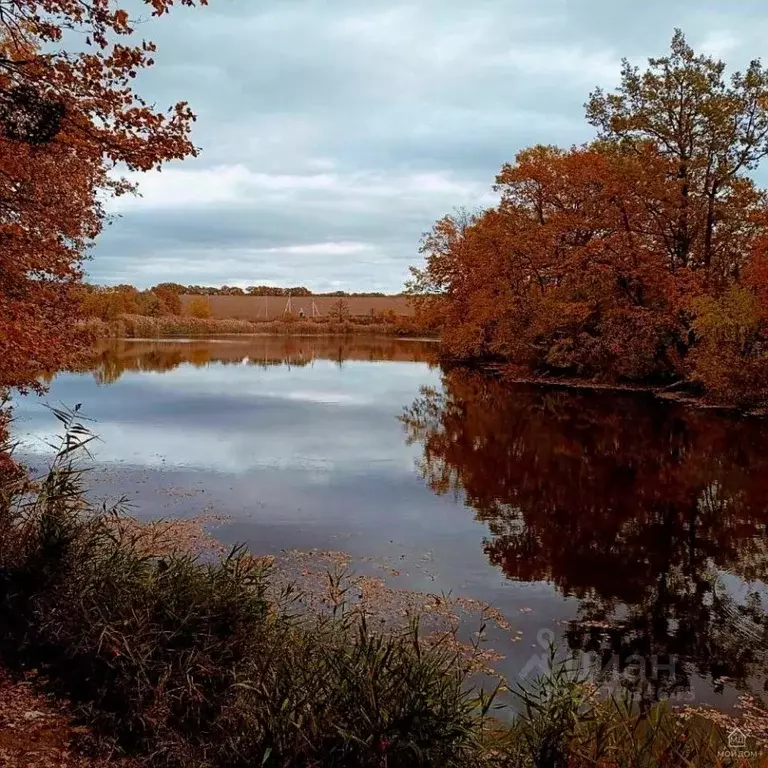 Участок в Краснодарский край, Северский район, Азовское с/пос, ... - Фото 2
