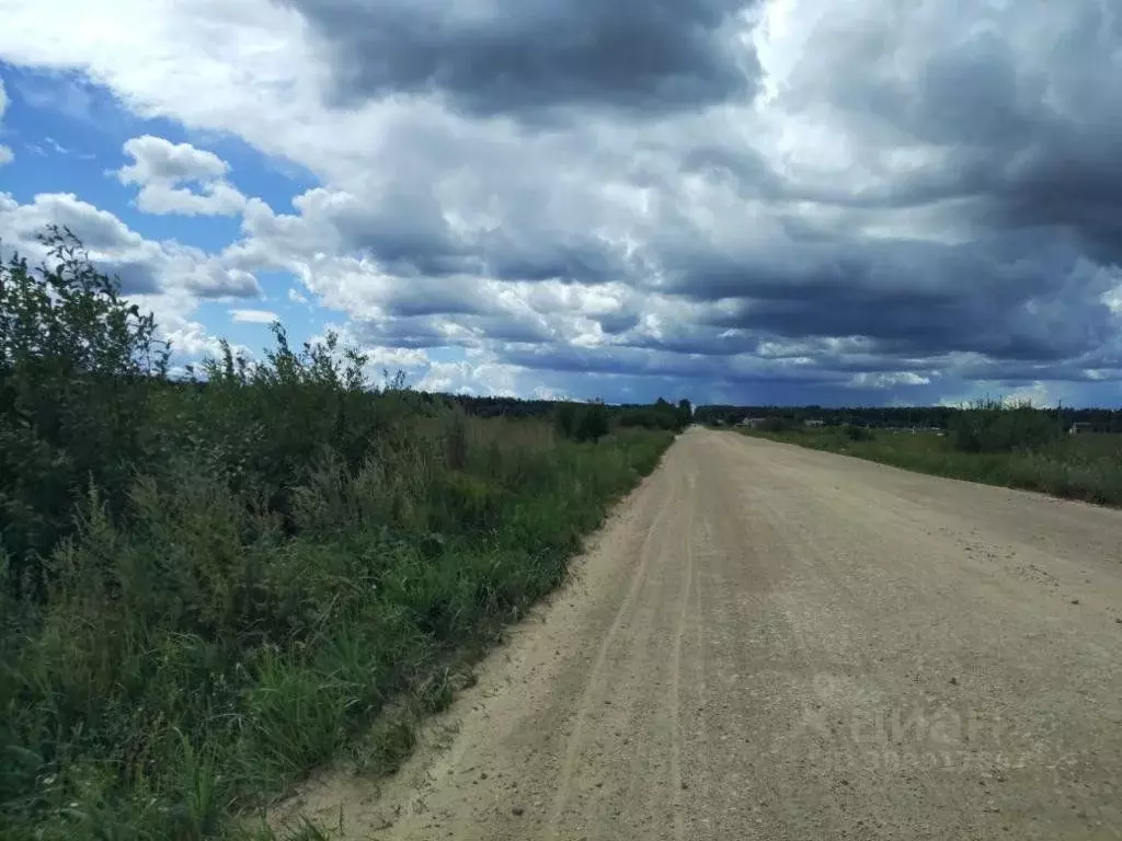 Участок в Ленинградская область, Лужский район, Мшинское с/пос, ... - Фото 1