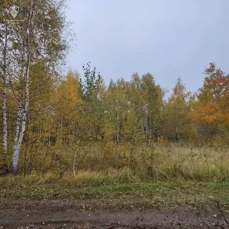 Участок в Рязанская область, Рыбновский муниципальный округ, Эдем ... - Фото 2