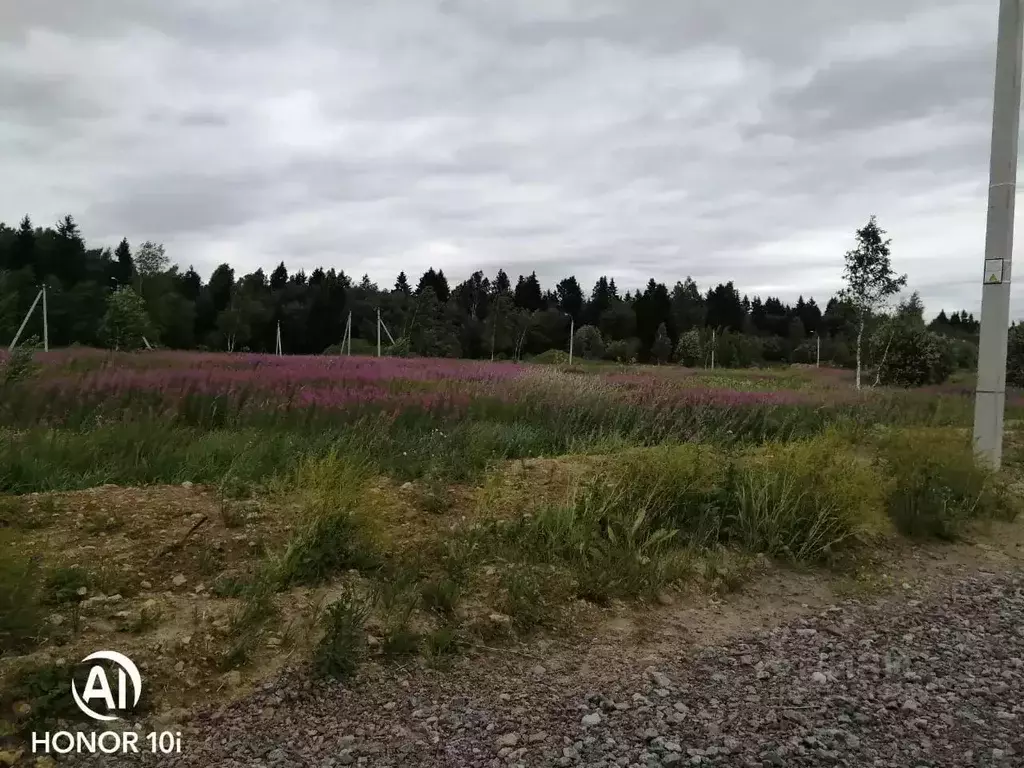 Участок в Ленинградская область, Ломоносовский район, Гостилицкое ... - Фото 0