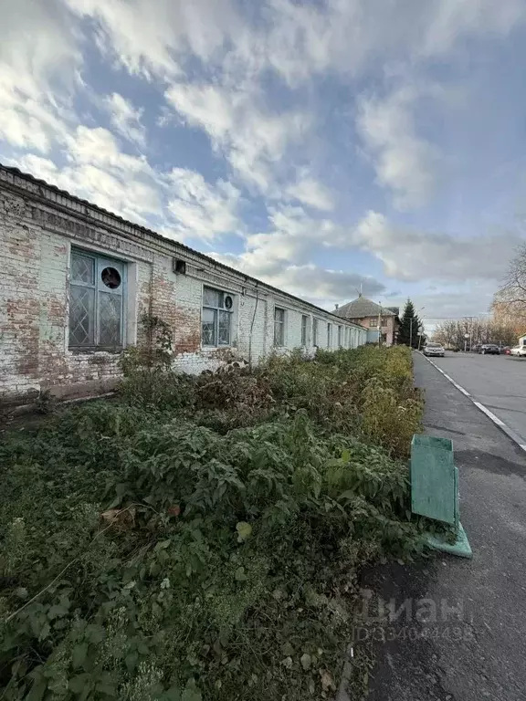 Помещение свободного назначения в Белгородская область, Губкин ул. ... - Фото 1