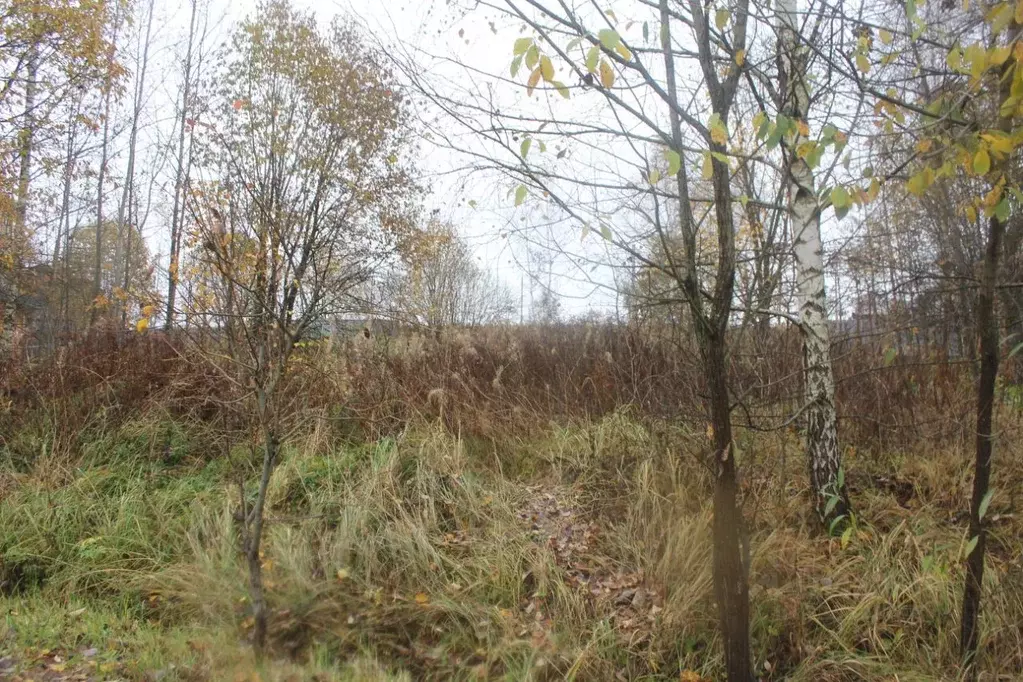 Участок в Москва пос. Рогово, ул. Заречная, 64 (10.43 сот.) - Фото 1