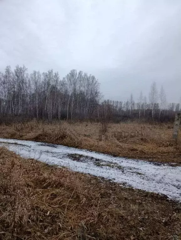 Участок в Челябинская область, Копейск Березка-4 СНТ, 518 (5.89 сот.) - Фото 2