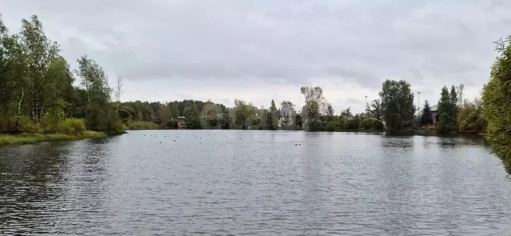 Участок в Санкт-Петербург Сергиево тер.,  (3.78 сот.) - Фото 1