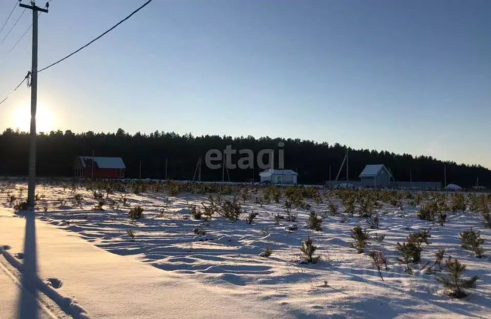 Участок в Свердловская область, Белоярский городской округ, пос. ... - Фото 0