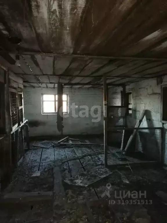 Участок в Новосибирская область, Искитимский район, Гилевский ... - Фото 1