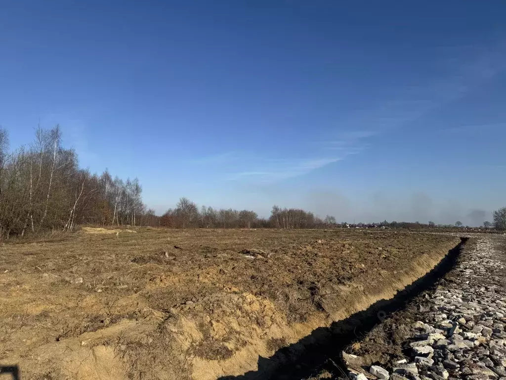 Участок в Калининградская область, Гурьевский муниципальный округ, ... - Фото 1