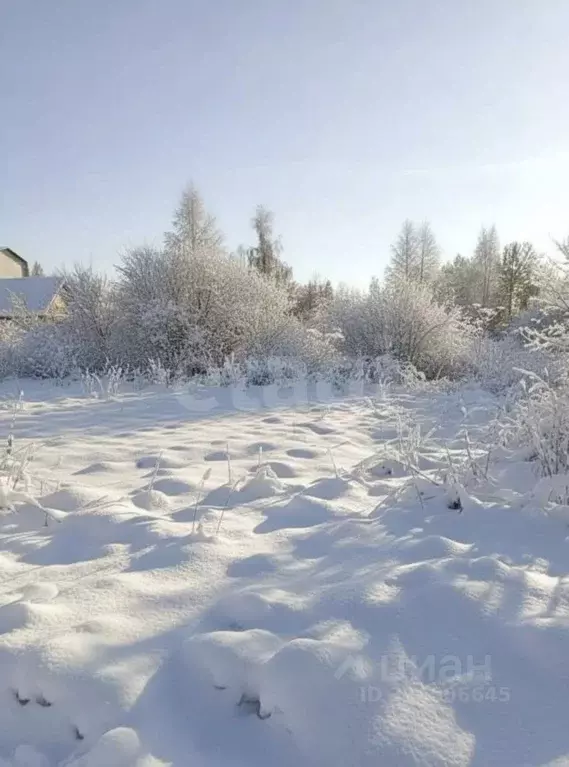 Участок в Московская область, Коломна городской округ, д. Дворики 7А ... - Фото 0