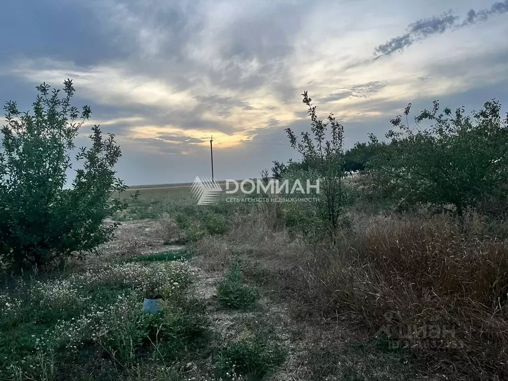 Дом в Ростовская область, Багаевский район, Манычское с/пос, Арпачин ... - Фото 2