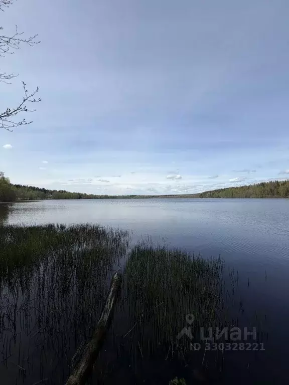 Участок в Ленинградская область, Выборгский район, Полянское с/пос, ... - Фото 1