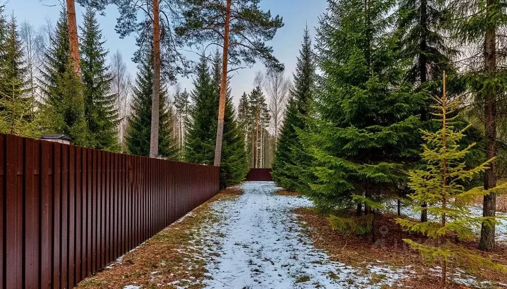 Участок в Московская область, Дмитровский муниципальный округ, Сбоево ... - Фото 1