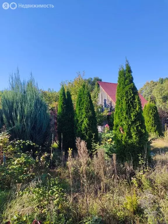 Дом в Самара, ДНТ Берёзовая Грива-2, 15 (35 м) - Фото 1