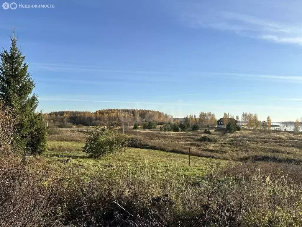 Участок в Красносельский район, Боровиковское сельское поселение, ... - Фото 0