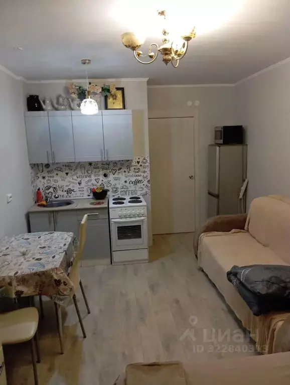 Студия Пермский край, Пермь Муромская ул., 24А (23.0 м) - Фото 2