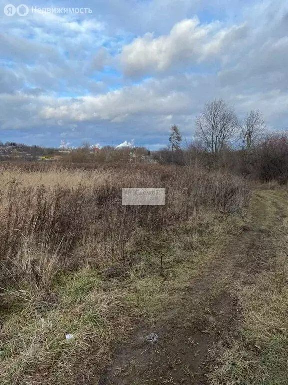 Участок в Тульская область, Щёкино (15 м) - Фото 1