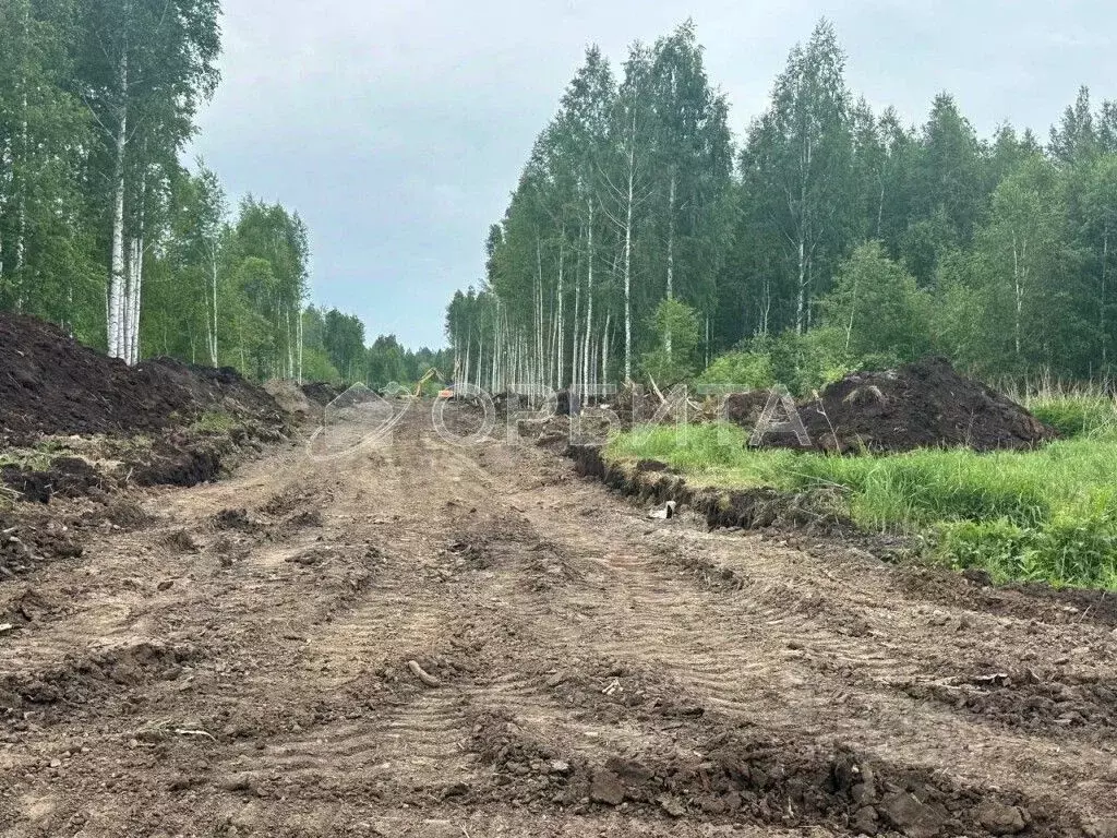 Участок в Тюменская область, Тюменский муниципальный округ Салаирский ... - Фото 1