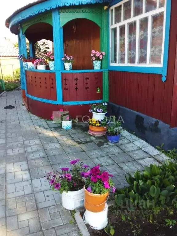 Дом в Алтайский край, Первомайский район, пос. Северный Школьная ул., ... - Фото 2