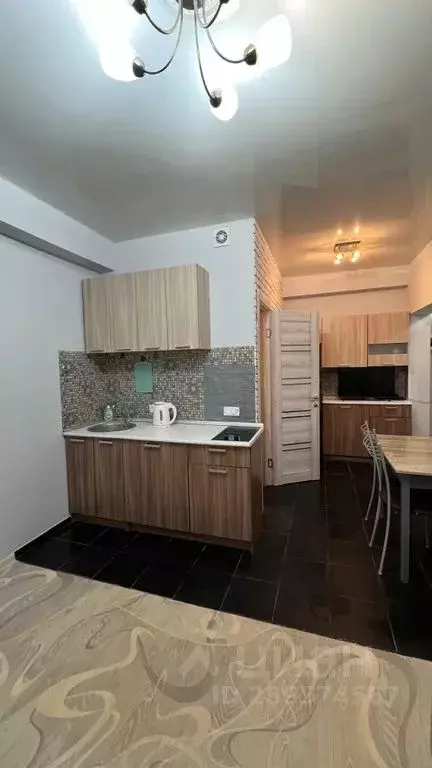 Студия Краснодарский край, Сочи ул. Ленина, 288 (25.0 м) - Фото 1