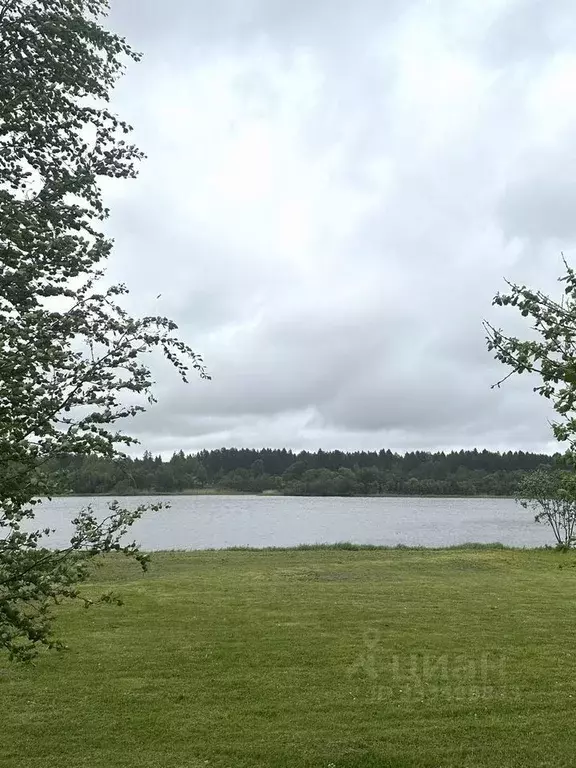 Участок в Ленинградская область, Волховский район, Пашское с/пос, д. ... - Фото 2