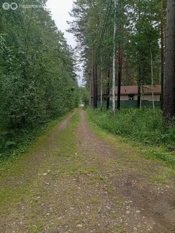 Участок в Иркутский муниципальный округ, СПК Юбилейный (10 м) - Фото 0