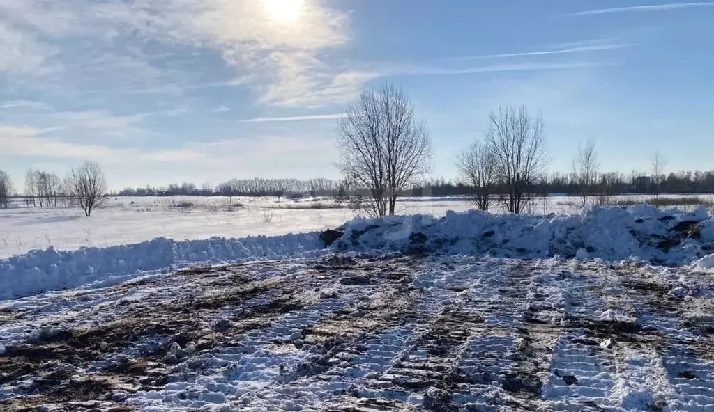 Участок в Свердловская область, Горноуральский муниципальный округ, с. ... - Фото 2
